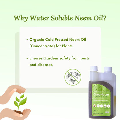 neem oil deals