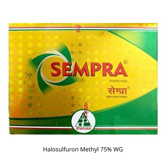 सेम्परा हर्बिसाइड (36 ग्राम * 2 पीस)