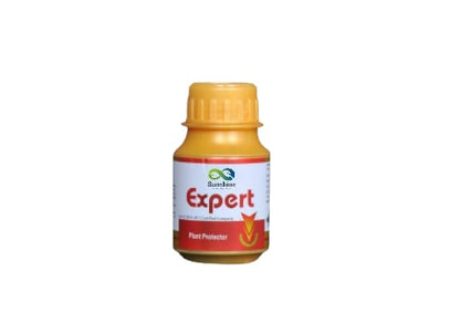 विशेषज्ञ
