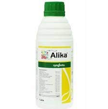 अलिका 80ML