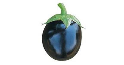 Plantogallery® F1 हाइब्रिड बैंगन गोल बीज, छोटा पैक