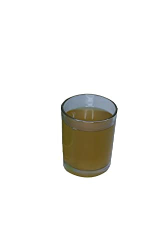 BACILLUS SUBTILIS ORGANIC FUNGICIDE 1L