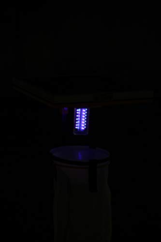 HECTARE Jumbo Automatic Solar UV Light, Li-Ion Battery and Tray Insect Trap with 10 watt Solar Panel for Pest Collection, Yellow
