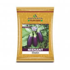 advanta upl hybrid golden seeds NISANT BRINJAL 10 pcs