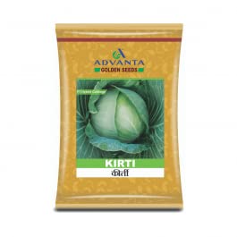 advanta upl hybrid golden seeds KIRTI QUALIFLOWER 2000 pcs