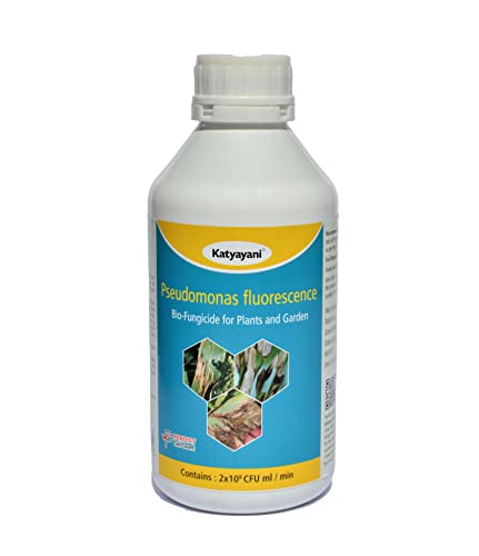 Katyayani Pseudomonas Fluorescence ( 2 x 10*8 CFU ml/min ) Bio Fungicide controls plant diseases by protecting the seeds and roots from fungal infection enhance plant growth promotion (1 litre)