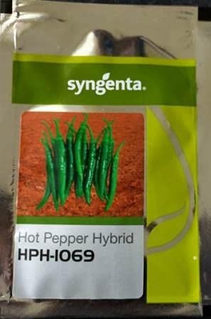 Syngenta HPH-1069 हाईब्रिड मिर्च बीज 1500SD - तीखी मिर्च