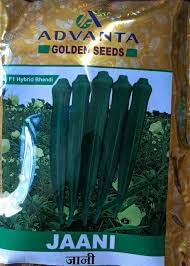 advanta upl hybrid golden seeds JANI OKRA LADYFINGER 50 pcs