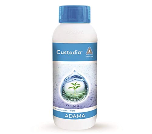 Custodia 500