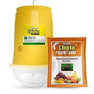 Chipku Bactocera Dorsalis Fruit Fly Outdoor Eco Pheromone Trap with Lure Useful in Mango, Papaya, Sapota, Guava, Pomegranate, Sweet Fruit - Pack of 100 Brown