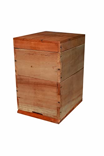 Apis cerana Indica bee साठी Agri Dot Wooden Bee Hive मधमाशी पाळण्याची पेटी