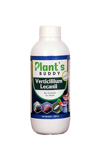 PLANT'S BUDDY - Verticillium Lecanii Liquid (2 * 10^9 CFU/ml) - Bio-Insecticide for All Indoor and Outdoor Plants - 500 ml
