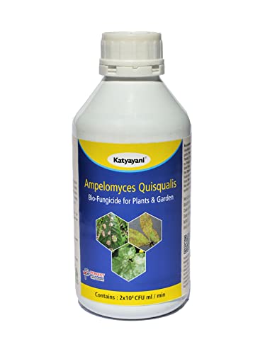 Katyayani Ampelomyces Quisqualis Bio-Fungicide Powerful Organic Controller of Powdery Mildew Disease for All Plants and Home Garden Paddy Chilly Cotton Potatoes Groundnut Papaya Tomato Cumin Mushroom Vegetables Fruits Flowers Spices Plantation Crops Cerea