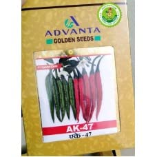 advanta upl संकरित सोनेरी बियाणे ak-47 मिरची 50 pcs