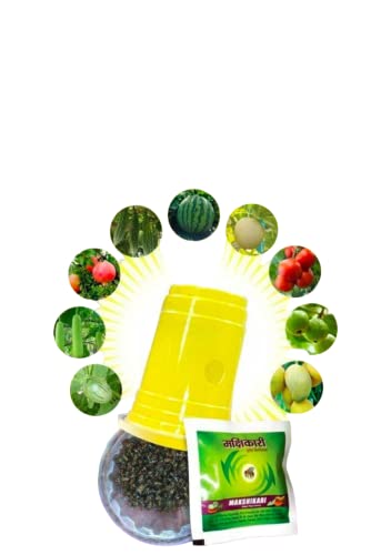 fruitfly trap