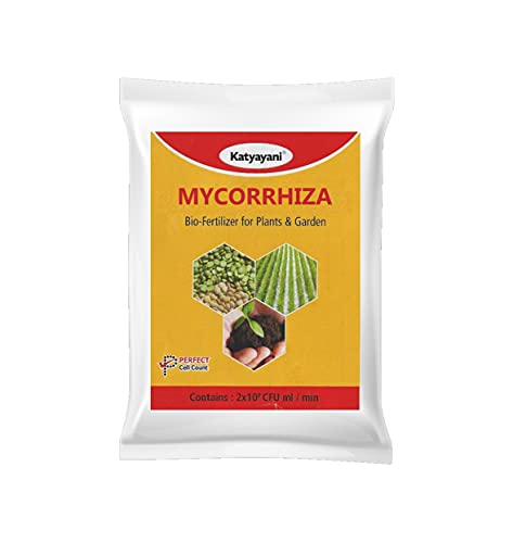 Arbuscular Mycorrhizae Fungi