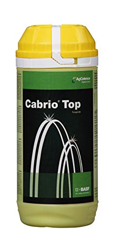Cabrio Top  300Gm