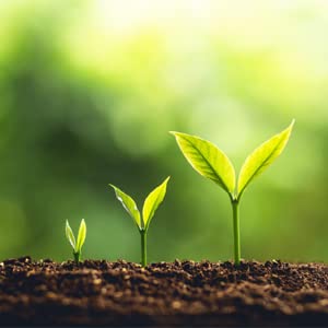 Atmanam Certified Organic Bio Fungicide for Seeds and Young Plants Trichoderma viride- 10+1 kg free