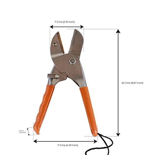Trustbasket Premium Garden tool Royal cut Crum finish garden secateurs Pruning Shears, Pruner Less Effort Garden Clipper with Sharp Blade and Comfortable Handle
