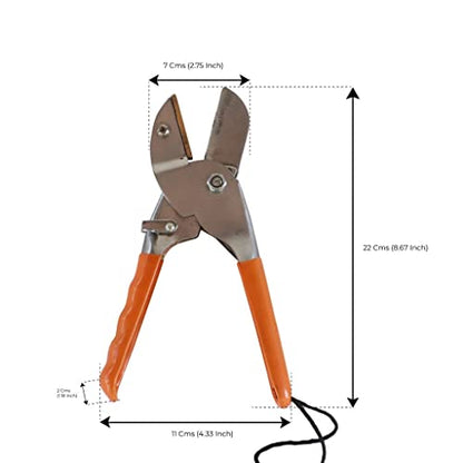 Trustbasket Premium Garden tool Royal cut Crum finish garden secateurs Pruning Shears, Pruner Less Effort Garden Clipper with Sharp Blade and Comfortable Handle