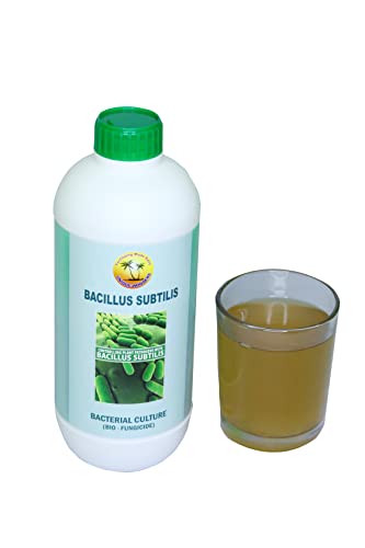 BACILLUS SUBTILIS ORGANIC FUNGICIDE 1L