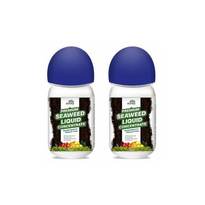 ROOTED Premium Seaweed Liquid Concentrate, Fertilizer For Plants And Trees, Natural Bio-Stimulant For Boosting Growth, Yield And Roots Health 250 ml (2 Pack)