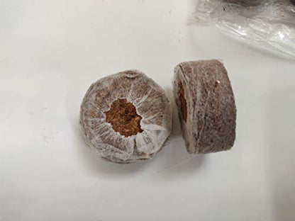 WE Hydroponics Coco Pellets 50mm -Set of 35, Jiffy Made, Soilless Germination Medium, Coco disc