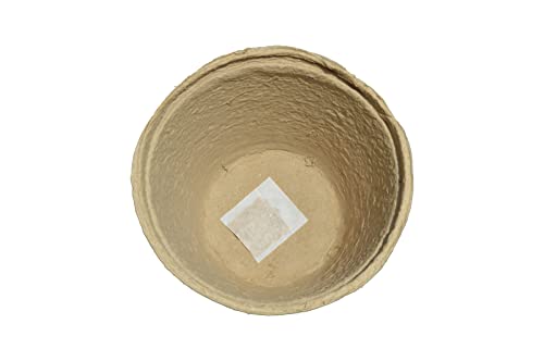 eco biotraps for india