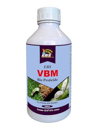 होम गार्डन प्लांट्ससाठी सिलिकॉन स्प्रेडर जैव कीटकनाशकासह EBS Vbm कॉम्बो|वनस्पतीसाठी नैसर्गिक कीटक नियंत्रण(व्हर्टीसिलियम लेकॅनी + ब्युवेरिया बसियाना + मेटारहिजियम एनिसोप्लिया) (1000 एमएल एक्स 5)