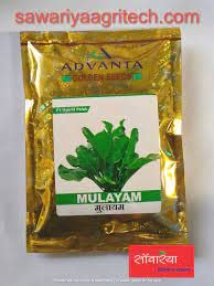 advanta upl संकरित सोनेरी बिया मुलायम पालक 800 pcs