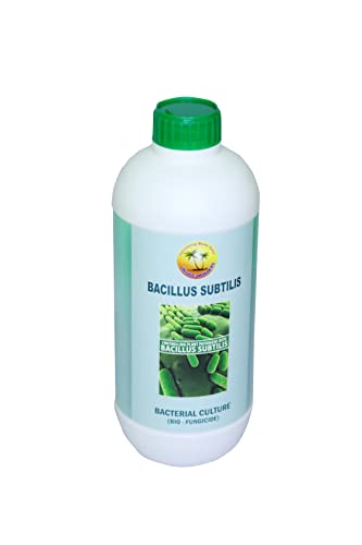 BACILLUS SUBTILIS ORGANIC FUNGICIDE 1L