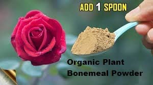 SDF INDIA Combo Pack 3 in One Pack (2 Kg Bone Meal Fertilizer + 2 kg Mustard Oil Cake +2 kg Epsom Salt)