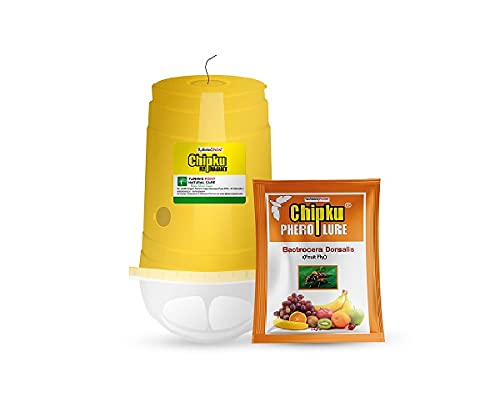 Chipku Bactocera Dorsalis Fruit Fly Outdoor Eco Pheromone Trap with Lure Useful in Mango, Papaya, Sapota, Guava, Pomegranate, Sweet Fruit - Pack of 50 Yellow