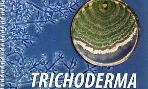 Iagrifarm Trichoderma Viride Powder - 5 Kg with (2 x 10^8 CFU per Gram) / to Control Fungui and Bacteria that Damage Crops