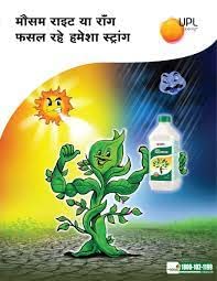 UPL Macrena 250 ml (प्लांट ग्रोथ रेग्युलेटर/ MAC टेक्नॉलॉजी पासून विकसित/ ट्रू स्ट्रेस बस्टर/ फ्लॉवर बूस्टर/ सर्व फुलांच्या रोपांसाठी सर्व आवश्यक मल्टी मायक्रो न्यूट्रिएंट्स)