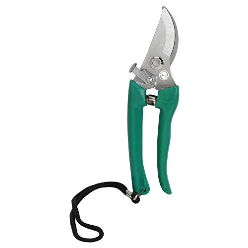 Kraft Seeds Assorted Hand Pruner Cutter - 1 Pc (Steel Blades) Heavy Duty Gardening Cutter Tool | Plant Cutter for Home Garden | Wood Branch Trimmer | Grass Cutting Accessories | Sturdy Stem Scissors