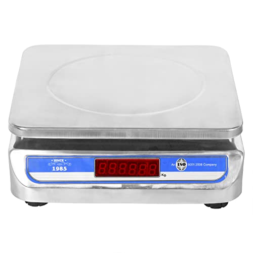 RAJA 30Kg Weighing Scale for Shop Stainless Steel Machine 30Kg