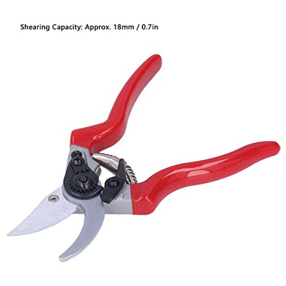 Pruning Shears, Pointed Branch Scissor for Agriculture'$