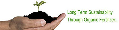 organic fertilizer