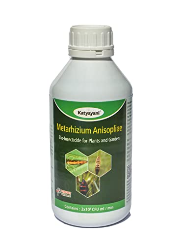 Katyayani Metarhizium Bio Insecticide for All Plants and Home Garden Powerful Natural Pest Control for Mealybugs Insects and Sucking Pests. Metarhizium Anisopliae( 2 X 10^8 Cfu Ml/min) Eco Friendly Insect Control Recommended for All Plants and Home Garden