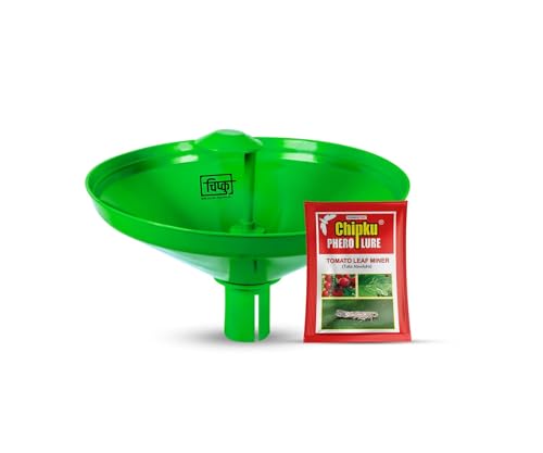 water trap for tomato insect pests