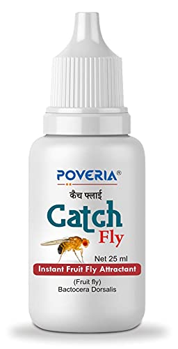 Poveria CatchFly Bactocera Dorasalic Fruit Fly Attractant Liquid methyl Eugenol- 25ml