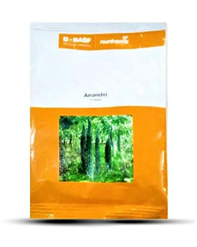 Nunhems Amanshri F1 Hybrid Bitter gourd Seeds 100SD - Karela