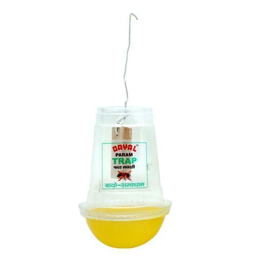 Param (V) Lure Pack of 10 Pcs