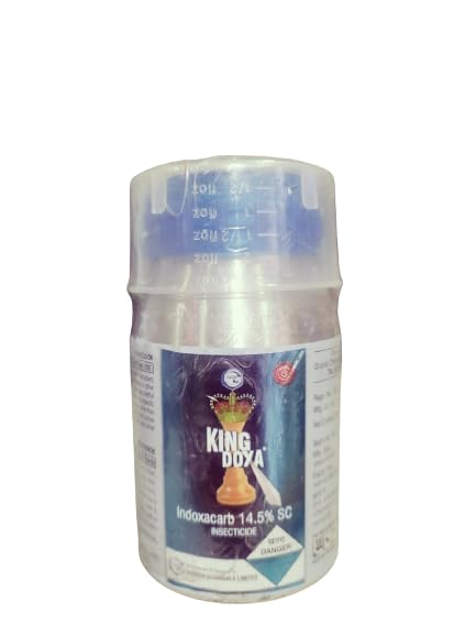 KINGDOXA -200 ml