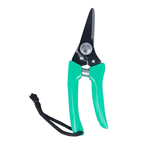 TrustBasket Garden Scissor for Plants (Green) Garden Plant Branch Scissors Flower Cutting Cutter Pruning Bypass Secateurs Trimmer Carbon Steel Blade with Lock