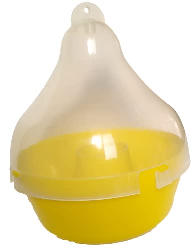 Mac Phill Insect pheromone Trap Used for Melon Fly & Fruit Fly Trap, Reusable, lon Lasting (2)