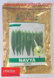 advanta upl hybrid golden seeds NAVYA LADYFINGER 2000 pcs