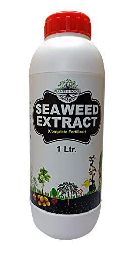 Plants & Roots- Seaweed Extract Liquid/Seaweed Fertilizer/Seaweed Organic Fertilizer for All Indoor and Outdoor Plants - (1000 ml)