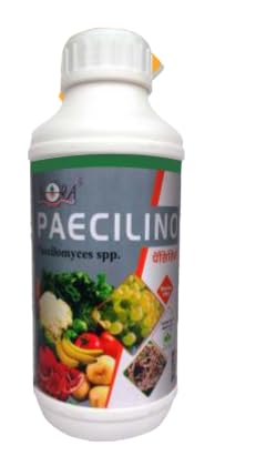 इनोरा पेसिलिनो पेसिलोमाइसेस एसपीपी 1KG